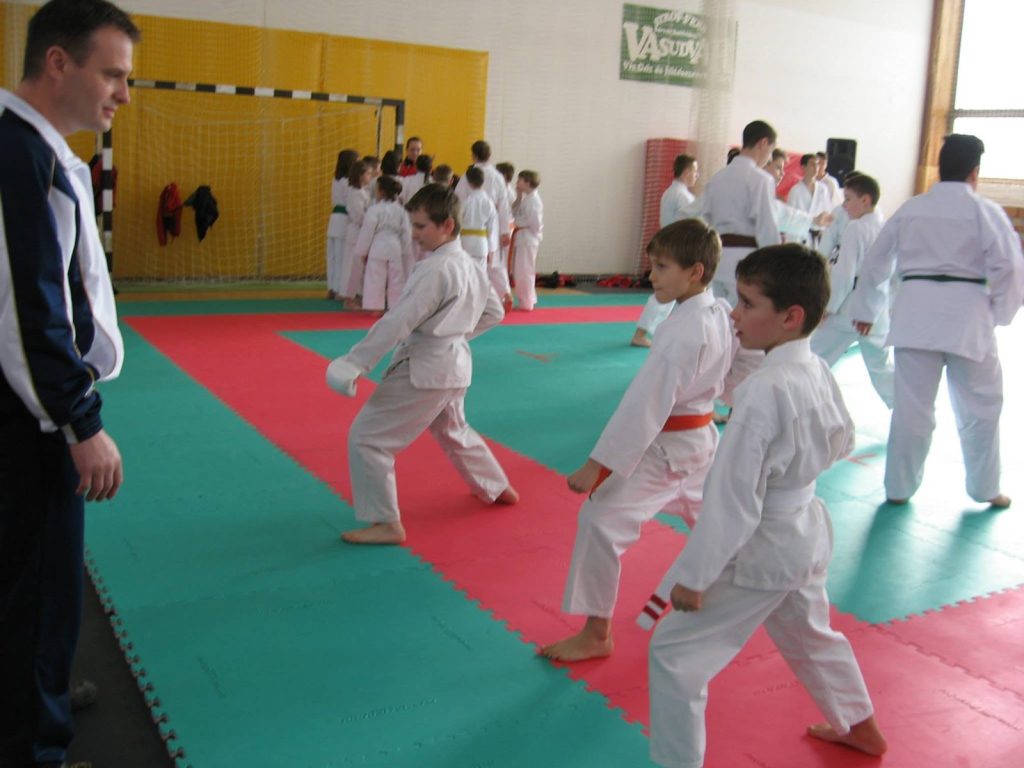 XIII. Sárvár Kupa – 5. fotó