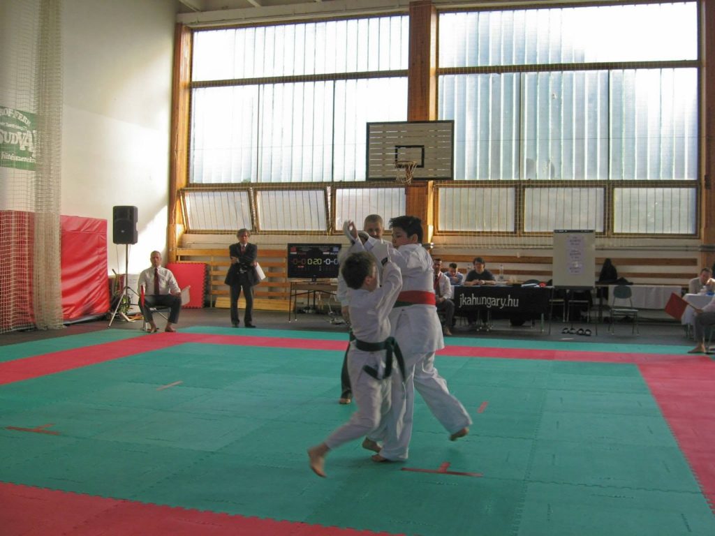 XIII. Sárvár Kupa – 34. fotó