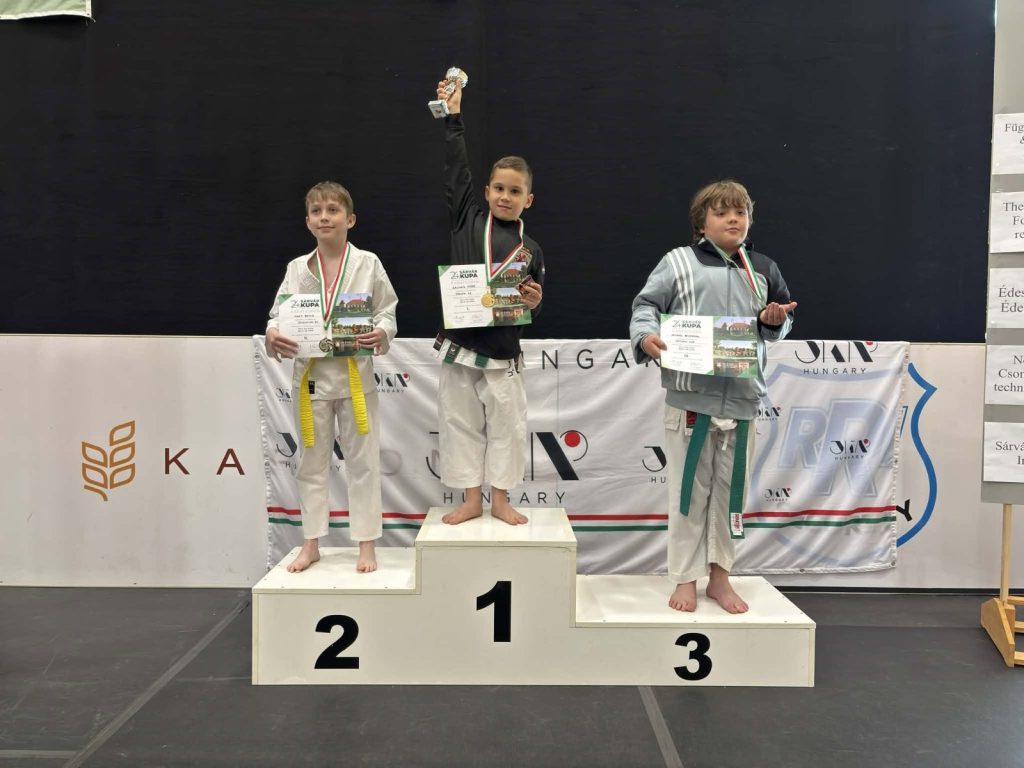 XXIV. Sárvár Kupa Karate Open – 3. fotó