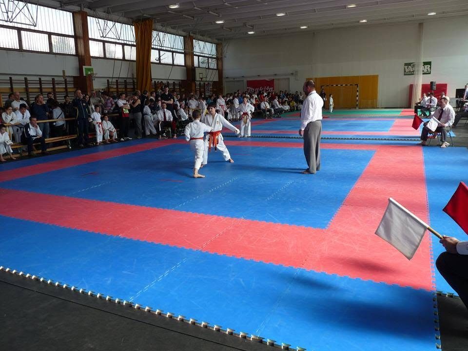 XIII. Sárvár Kupa – 14. fotó
