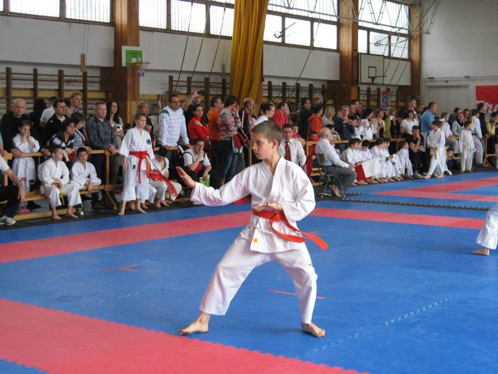 XIII. Sárvár Kupa – 13. fotó