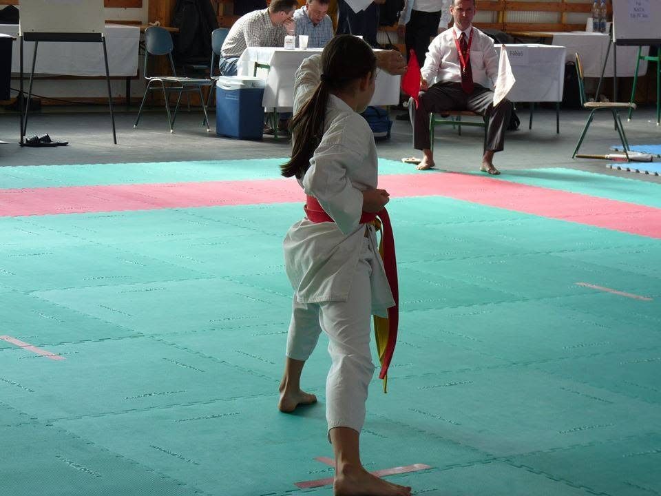 XIII. Sárvár Kupa – 12. fotó
