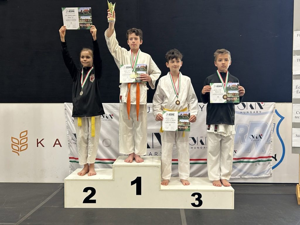 XXIV. Sárvár Kupa Karate Open – 5. fotó