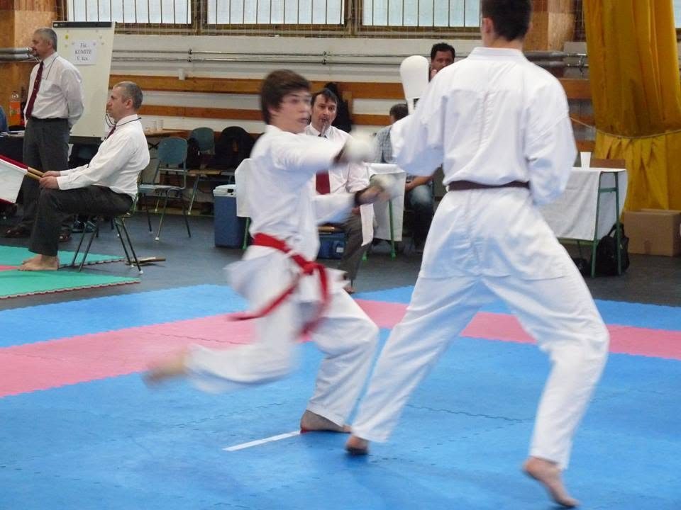 XIII. Sárvár Kupa – 39. fotó