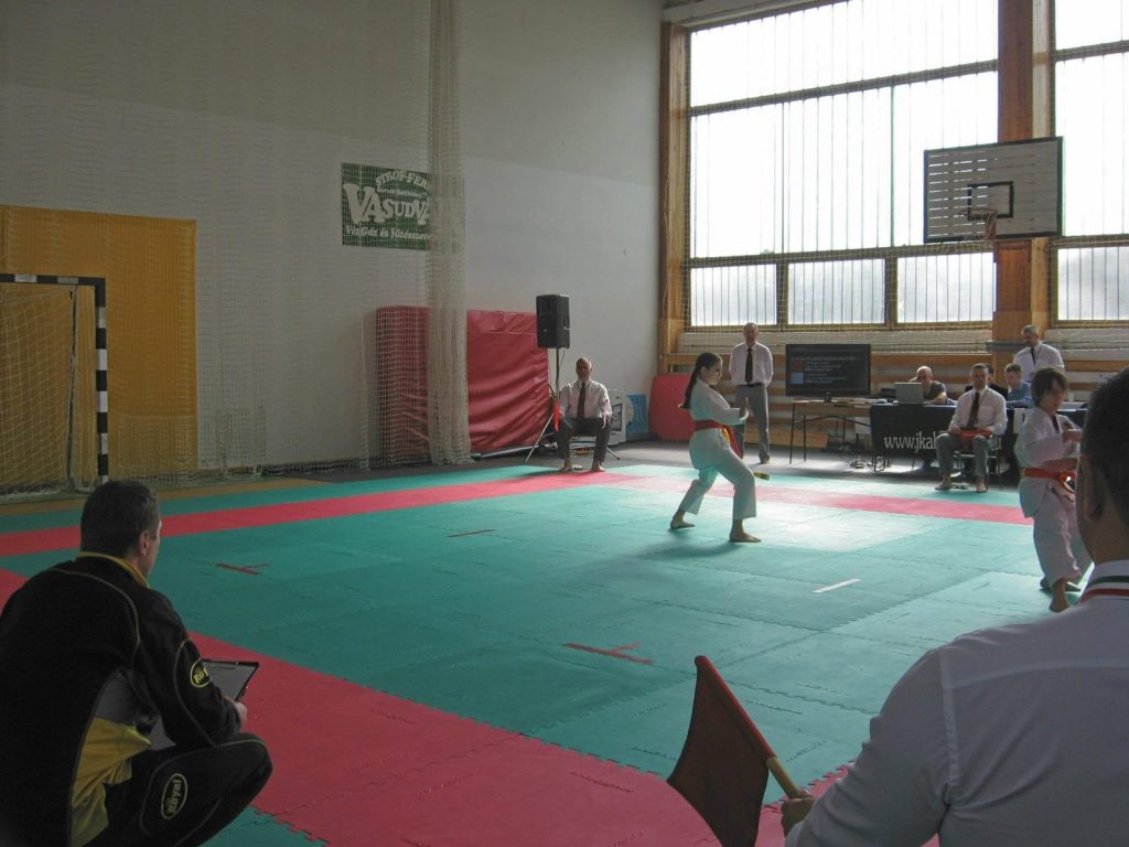 XIII. Sárvár Kupa – 11. fotó