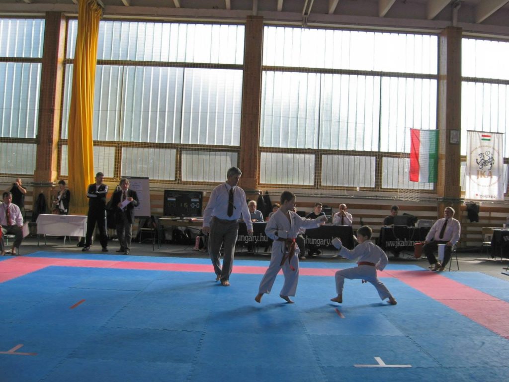 XIII. Sárvár Kupa – 29. fotó
